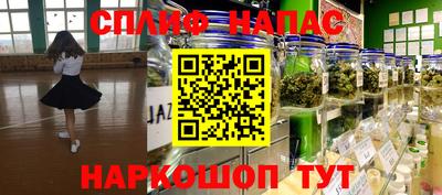 шишки Азнакаево