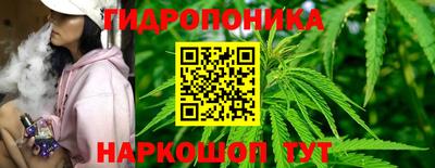 гидропоника Балашиха