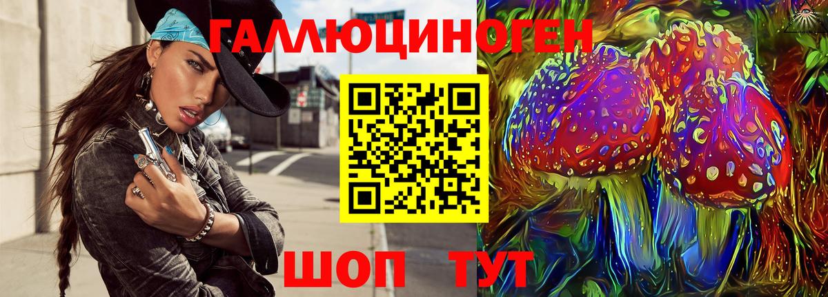 Галлюциногенные грибы MAGIC MUSHROOMS Димитровград