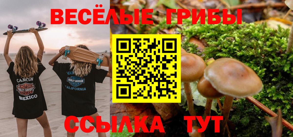 Галлюциногенные грибы MAGIC MUSHROOMS Димитровград