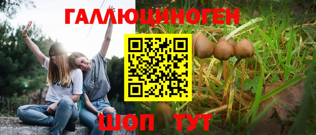 АМФЕТАМИН Димитровград