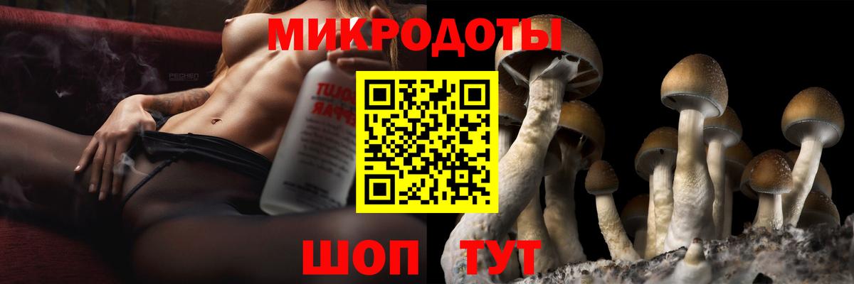 Димитровград  Псилоцибиновые грибы Cubensis  Вход с VPN  Галлюциногенные грибы GOLDEN TEACHER 